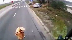 Ảnh cắt ra từ clip. Ảnh: Zing