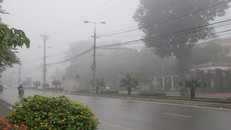 Miền Bắc có mưa phùn và sương mù, Nam Bộ ngày nắng đêm mưa