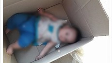 Nghệ An: Bác tin trẻ sơ sinh bị bỏ rơi trong thùng giấy
