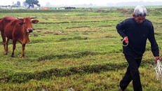 Người dân xã Thiệu Dương bức xúc trước khỏa thu vô lý của HTX Minh Anh. 