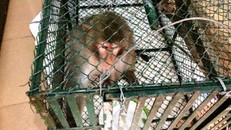 Hình ảnh minh họa.