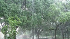 Thời tiết hôm nay: Bắc Bộ ngày nắng nóng, chiều tối có mưa giải nhiệt