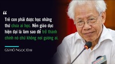 GS Hồ Ngọc Đại: 'Trong giáo dục không có kiểu phạt học trò tát nhau đến sưng má'