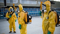 Virus Zika bùng phát ở khu vực tây bắc Ấn Độ 