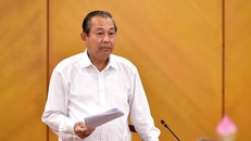 Phó Thủ tướng Trương Hòa Bình.