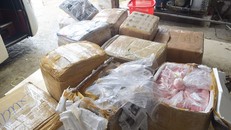 Bắt quả tang xe khách mang biển số Lào chở 2,5 tấn nội tạng không rõ nguồn gốc