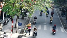 Miền Bắc và miền Nam trời tạnh ráo, Bắc Trung Bộ có mưa rào 