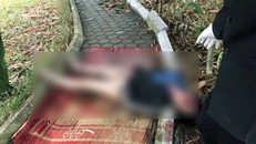 Thi thể nạn nhân được phát hiện tại vườn hoa. Ảnh: Thanh Niên