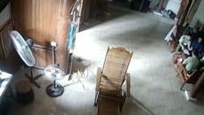 Camera ghi lại hình ảnh vụ việc. Ảnh: VOV