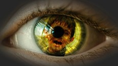 Đức: Bắt giữ 3 nghi phạm có hành vi ấu dâm suốt 1 thập kỷ