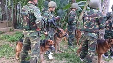 Lực lượng bao gồm 200 chiến sĩ cảnh sát và bộ đội biên phòng cùng chó nghiệp vụ đã được huy động cho vụ vây bắt. Ảnh: Đại Đoàn Kết