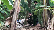 Khu vực vườn chuối ven sông Hoá, nơi phát hiện 3 thi thể trôi trên sông Hóa. Ảnh: Tuổi Trẻ