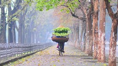 Thời tiết ngày 8/4: Miền Bắc trời hửng nắng, Nam Bộ có mưa vào cuối ngày