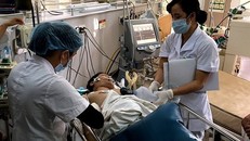 Uống rượu với nước lá ngón, 1 người chết, 7 người cấp cứu