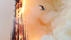 Số tiền quyên góp cho Nhà thờ Đức Bà đã lên đến 790 triệu USD 