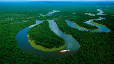 Trái đất mất 129 triệu km2 rừng nhiệt đới mỗi năm