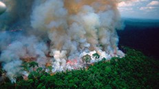 Tổng thống Brasil chỉ ra nguyên nhân gây cháy rừng Brasil