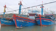 Nghệ An ban hành lệnh cấm biển kể từ tối ngày 1/9