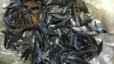 Bắt giữ chủ tiệm sửa xe rải đinh ra quốc lộ 51