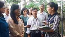 Bộ trưởng Bộ Y tế thị sát phòng, chống sốt xuất huyết tại Đồng Nai