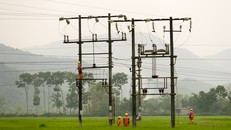 Gần 82.000 tỷ đồng đầu tư lưới điện nông thôn