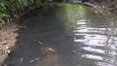 Bắt giữ 2 nghi phạm đổ chất thải ra nguồn nước sông Đà