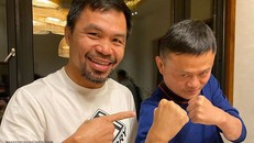 Jack Ma thách đấu 'độc cô cầu bại' Floyd Mayweather