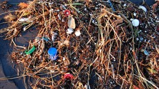 Rác thải đại dương ở Trung Quốc tăng 27% trong năm ngoái