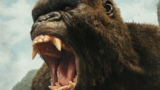 Phát hiện loài linh trưởng khổng lồ là nguyên mẫu của 'King Kong'