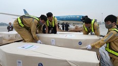 Bộ Ngoại giao phối hợp đưa 16 thi hài và di hài về tới sân bay Nội Bài