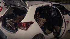 Con gấu bị đánh thuốc mê và được vận chuyển bằng taxi