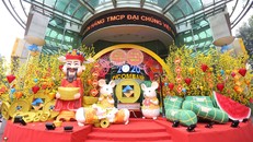 Lấy cảm hứng từ những đóa mai vàng rực rỡ - biểu tượng cho một mùa xuân ấm áp, đồng thời cũng là màu sắc thương hiệu của Ngân hàng, PVcomBank gửi gắm kỳ vọng cho một năm mới may mắn, tài lộc và phát triển thịnh vượng. 