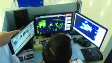 Cách ly 67 du khách nhập cảnh vào TP Hồ Chí Minh