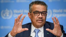 Tổng giám đốc WHO Tedros Adhanom Ghebreyesus. Ảnh: AFP