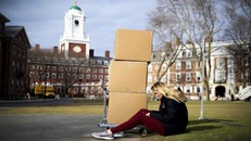 Sinh viên Havard 'cuống cuồng' trước quyết định đóng cửa trường