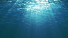 Đại dương, một đồng minh của loài người trong trận chiến chống lại Covid-19