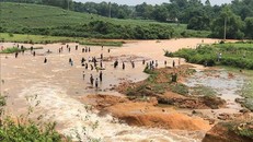 Nước chảy mạnh xuống vùng hạ du gây ngập, nhưng bất chấp nguy hiểm cảnh báo, nhiều người dân vẫn đổ xô đến để bắt cá. Ảnh: TTXVN