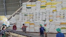 Việt Nam trúng thầu cung cấp 30 nghìn tấn gạo cho Philippines