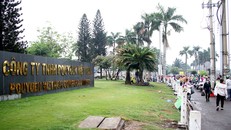 Pou Yuen Việt Nam cho thôi việc 2.700 lao động