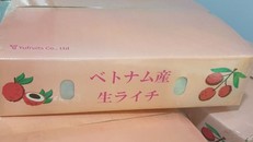 Hành trình đưa vải thiều Việt Nam vào thị trường Nhật Bản
