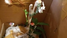 Lan tiền tỷ, ảo ở đâu, thật chỗ nào?