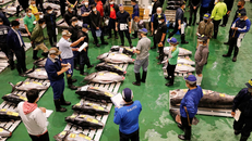 Cá ngừ Nhật Bản rơi vào cảnh ế ẩm