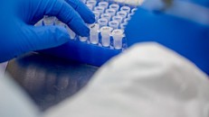 Pfizer, BioNTech tăng số lượng người thử vaccine COVID-19