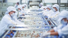 Với công suất 300 tấn rau quả/ngày, Nhà máy chế biến hoa quả tươi và thảo dược Vân Hồ nằm trong tốp các nhà máy chế biến có công suất lớn nhất ở Việt Nam và là nơi đầu tiên sản xuất được nước ép cam và nhãn ở dạng cô đặc bằng công nghệ trích ly chuyên dụn