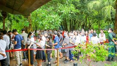 Khách xếp hàng cả cây số để xem nhà mẫu và mua nhà tại Ecopark