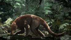 Tổ tiên động vật có vú sống lâu hơn 'con cháu' thời hiện đại