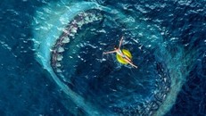 Phim về cá mập bạo chúa 'The Meg 2' tìm được đạo diễn