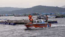 Lực lượng chức năng thị xã Sông Cầu (tỉnh Phú Yên) tuyên truyền, vận động ngư dân trên các tàu thuyền khẩn trương vào bờ trước khi bão đổ bộ vào đất liền. Ảnh: Báo Phú Yên