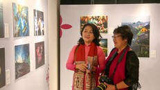 3 bức ảnh đoạt giải cao nhất Cuộc thi Ảnh Việt Nam 2020 của UNESCO