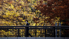 Nhật Bản đau đầu với nạn tự sát 